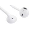 Afbeeldingen van Apple – Earpods lightning (De airpods zijn niet bedoeld voor gebruik met de CZ-laptop)